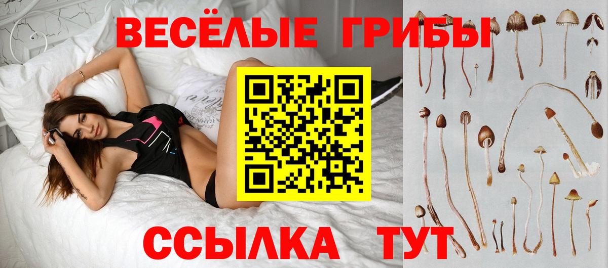 Псилоцибиновые грибы Psilocybine cubensis  Галлюциногенные грибы Magic Shrooms  Вход с VPN  сколько стоит  Мурино 
